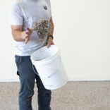 Flake install photo 0197