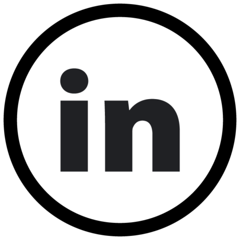Linked In ICON