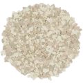 FB 101 FRITTER PILE