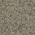 Fern (FB-102-116) - 1/16" Flake