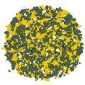 FB 201 LAMBEAU PILE