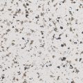 Colonial (FB-817-108) - 1/8" Flake