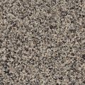Morel (FB-979-116) - 1/16" Flake