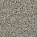 Creekbed (FB-716-116) - 1/16" Flake