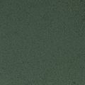 Forest Green (F1360-116) - 1/16" Flake