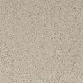 Fossil (F9911-108) - 1/8" Flake