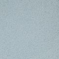Peppermint (F9971-116) - 1/16" Flake