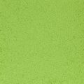 Slime (F9990-116) - 1/16" Flake