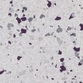 Klondike (FB-4206-HYB) - Hybrid Flake