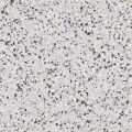 Juniper (FB-927-116) - 1/16" Flake