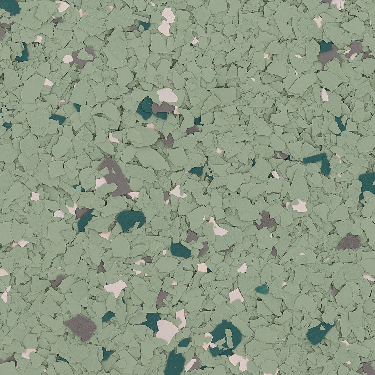 Torginol® | Sedum