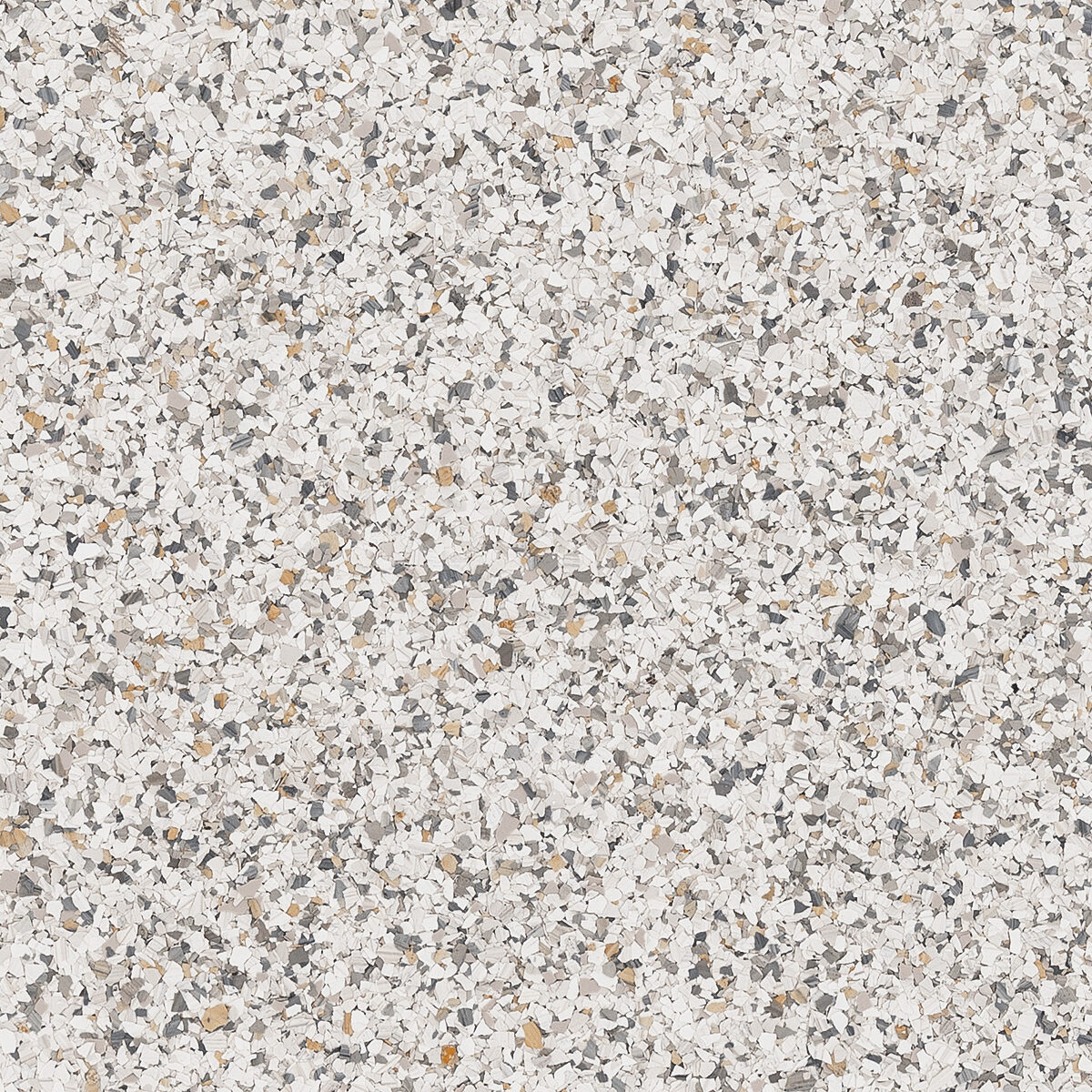 Torginol® | Caraway