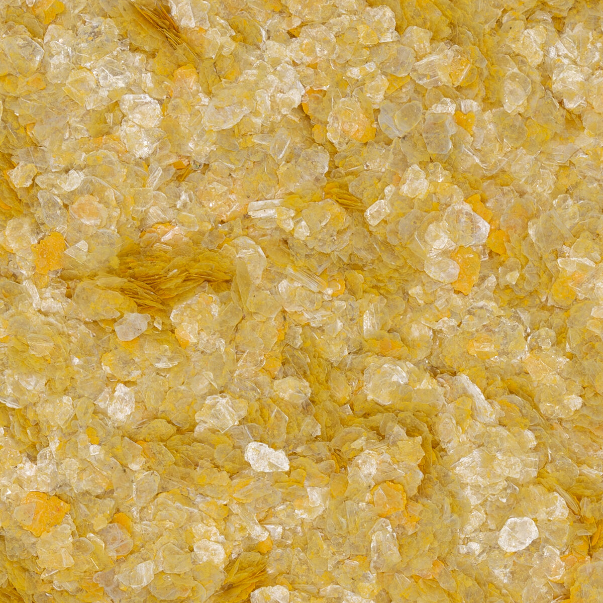 Torginol® | Yellow