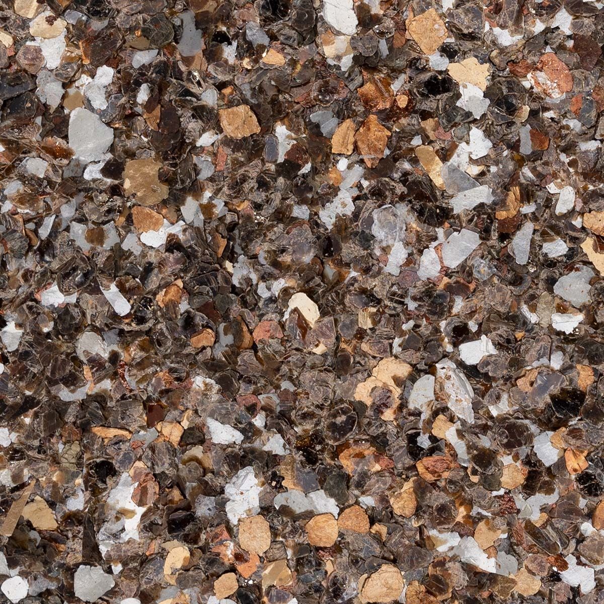 Torginol® | Tortoiseshell