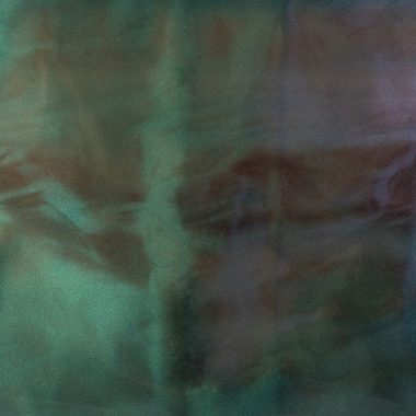 Toucan (P7040) - Pigment