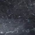Whale & Pearl (PB-101) - Pigment