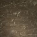 Sandal & Sandbar (PB-107) - Pigment