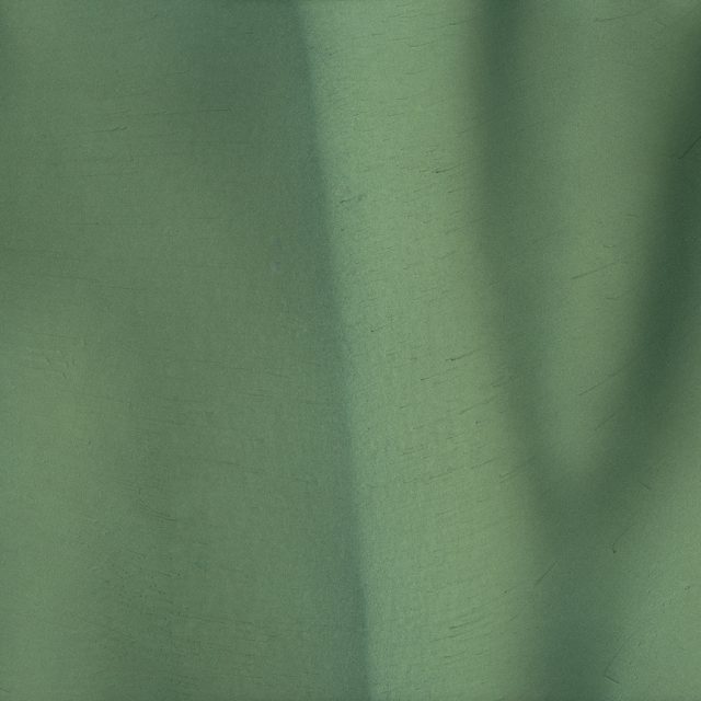 Seaweed (P1530) - Pigment