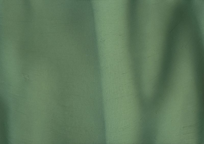 Seaweed (P1530) - Pigment