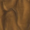 Shipwreck (P1150-A) - Pigment