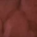 Sangria (P1250-A) - Pigment