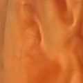Coral (P1330-A) - Pigment