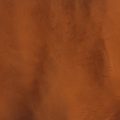 Ginger (P1340-A) - Pigment