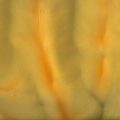Papaya (P1420-A) - Pigment