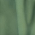Seaweed (P1530-A) - Pigment