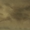 Pier (P15500-A) - Pigment