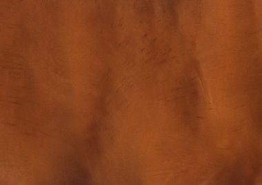 Ginger (P1340-A) - Pigment