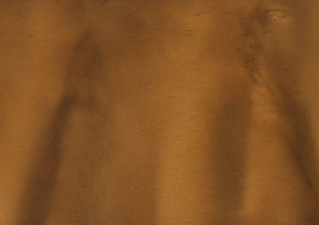 Driftwood (P1135-A) - Pigment
