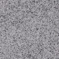 Dalmatian (QB-1007-40S) - 40S Quartz