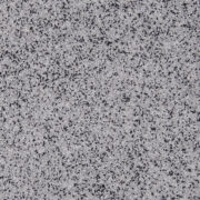 Dalmatian (QB-1007-40S) - 40S Quartz