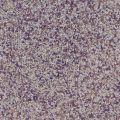 Lilac (QB-1026-25A) - 25A Quartz