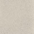 Conch (Q1013-25A) - 25A Quartz