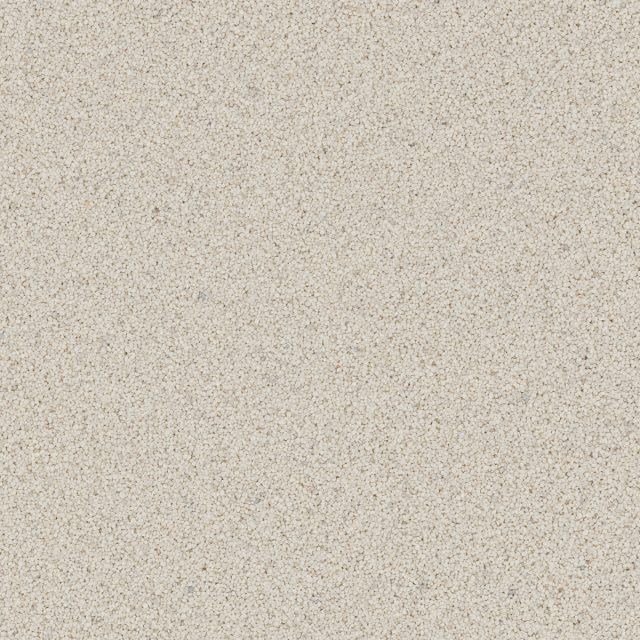 Conch (Q1013-40S) - 40S Quartz