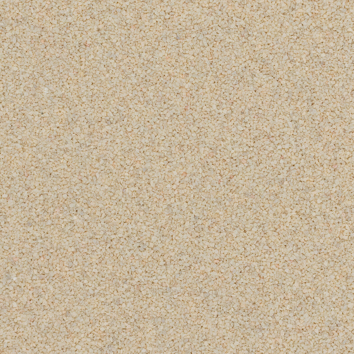 Color Solid Eggshell Torginol® | Eggshell