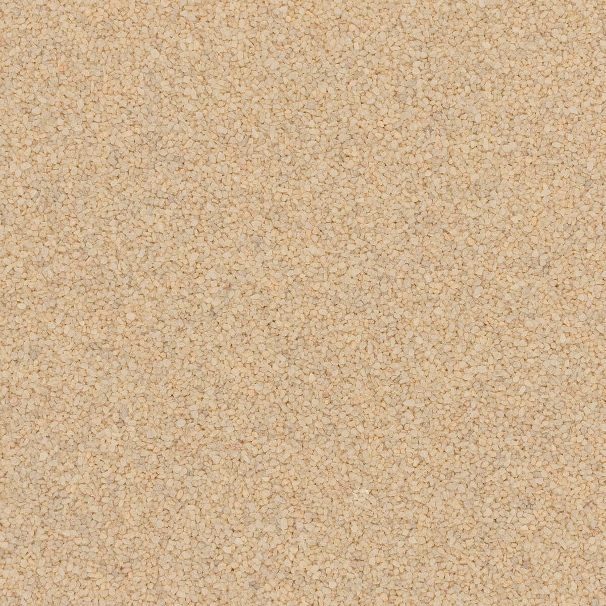 Torginol® | Ivory