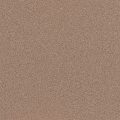 Greige (Q1235-40S) - 40S Quartz