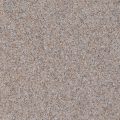 Oyster (QB-1004-40S) - 40S Quartz
