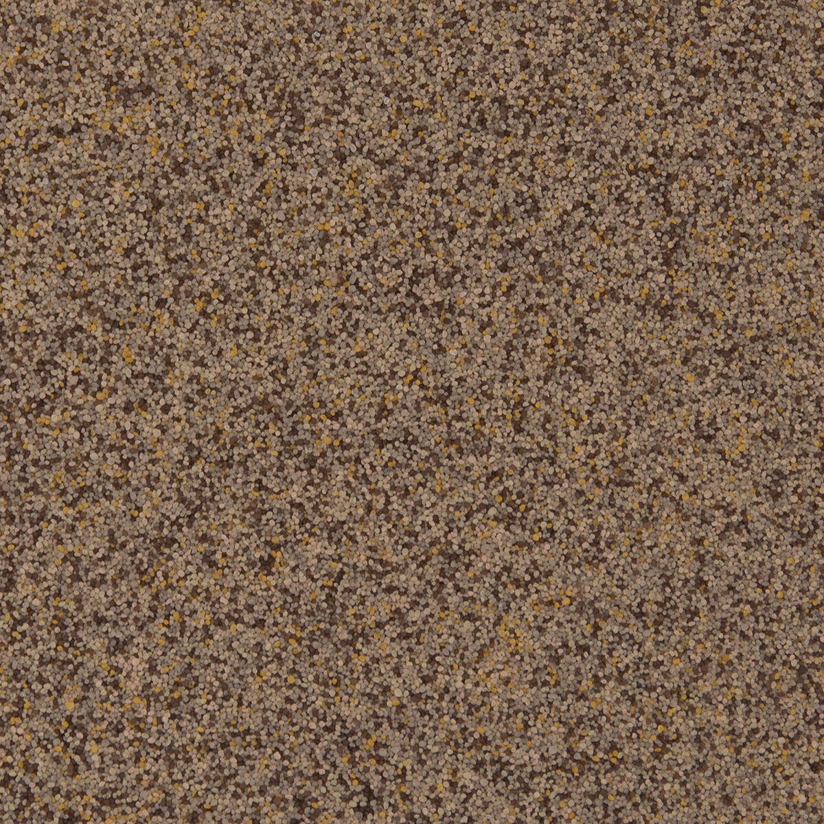 Driftwood QB-1015 quartz color swatch