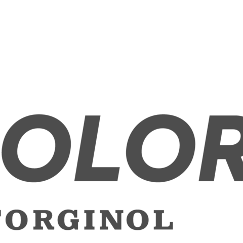 2025 Color Lab Logo 01