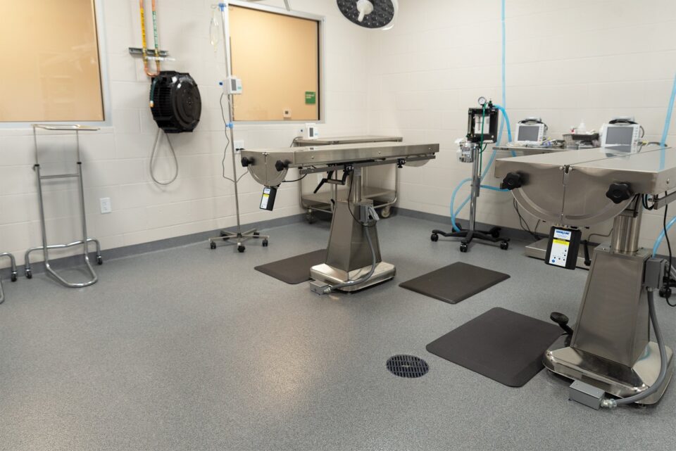 Institutional tab healthcare